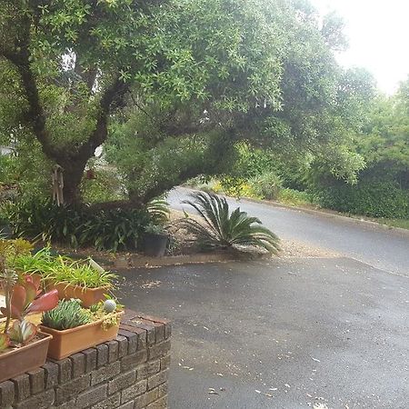 Pelikaan 9 Apartment Stellenbosch Ngoại thất bức ảnh